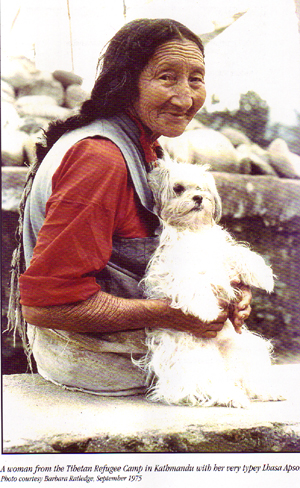 native-tibetan-woman-with-apso1.jpg