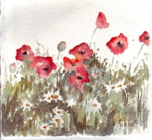 Poppies by Janet Schaus