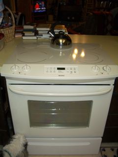 kathysstoveimgp2533_3.jpg