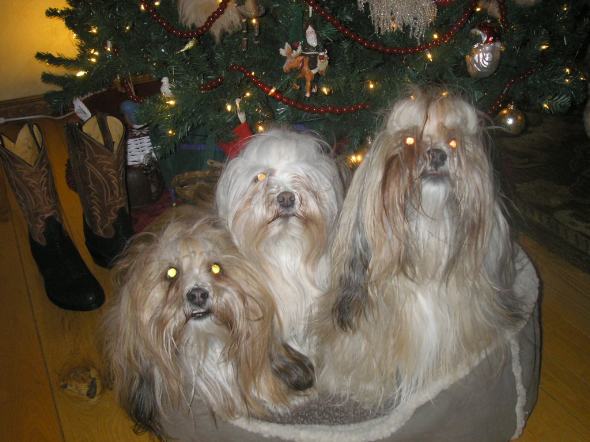 ethancayenneandchloe