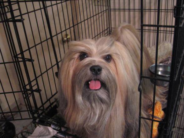 head12272008 head12272008