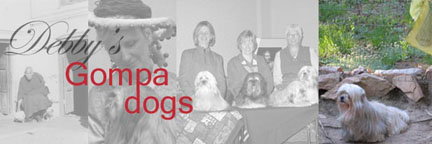 debbys-gompa-dogs