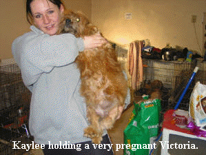 kayleetimbers_htm_txt_kayleevictoria2003