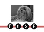 rosewordpress