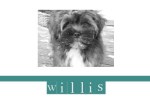 williswordpress1
