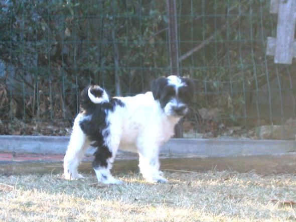 monte32009 monte32009