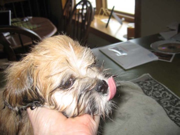 reddfernando9weeks010fix reddfernando9weeks010fix