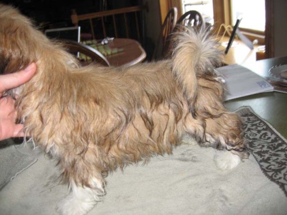 reddfernando9weeks025fix reddfernando9weeks025fix