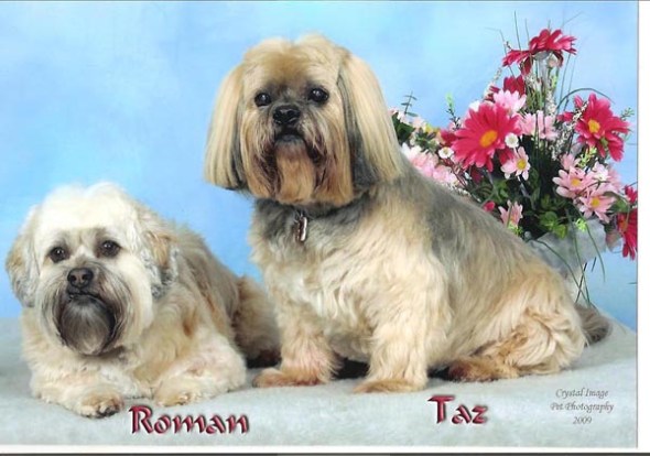 2009-03-23-0153-35_edited