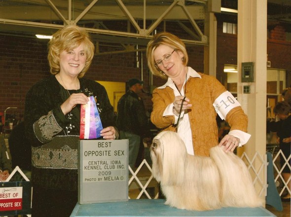 bettefinish bettefinish