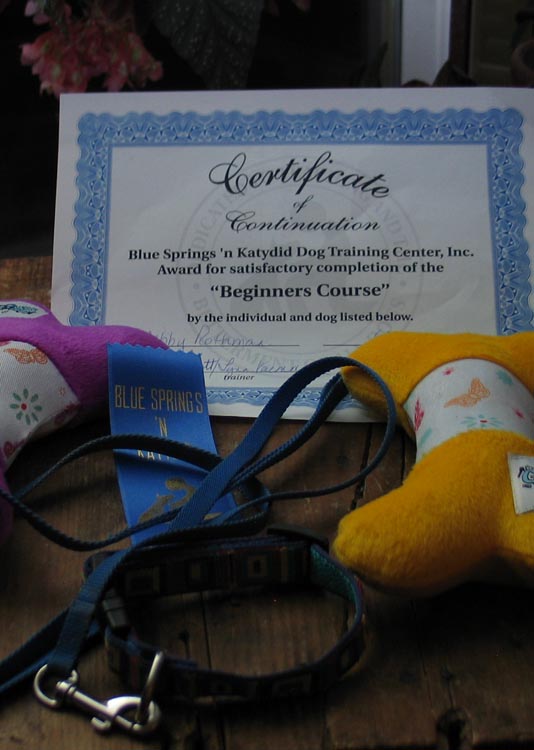 ediebasicobediencegraduation056