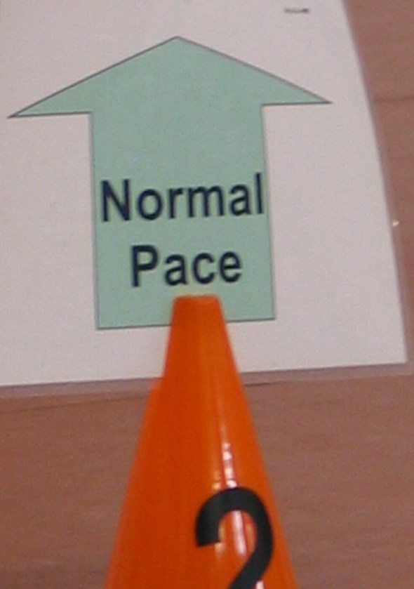 ediebasicobediencegraduation060