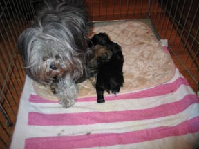 margodawa12182008001blog