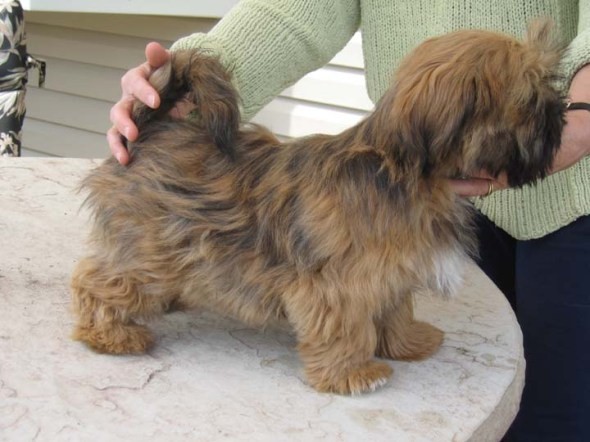 16weekfernandoredd004