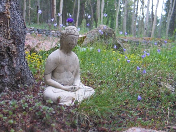 BuddhaInTheGarden