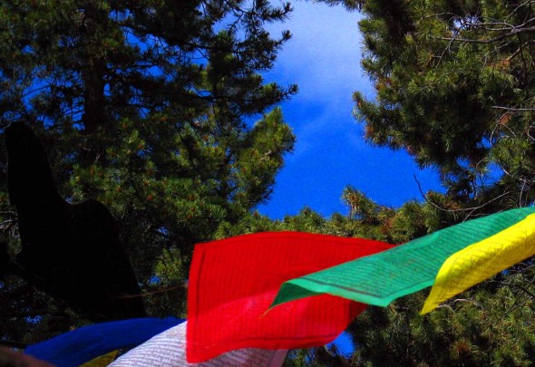 IMG_0027ART IMG_0027ART