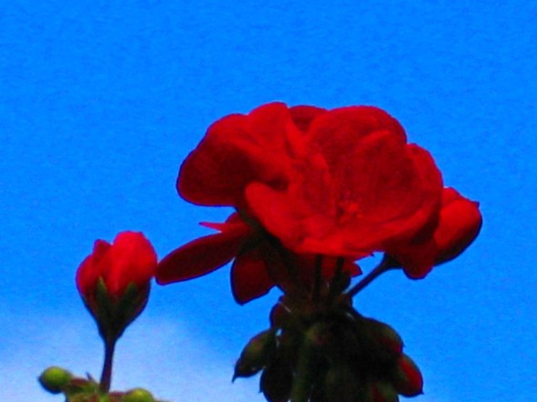 IMG_0028ART IMG_0028ART