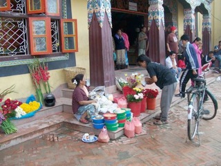 LhasaApsoNepalFlowers