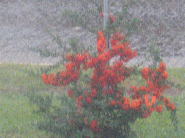 ImpressionismInCamera