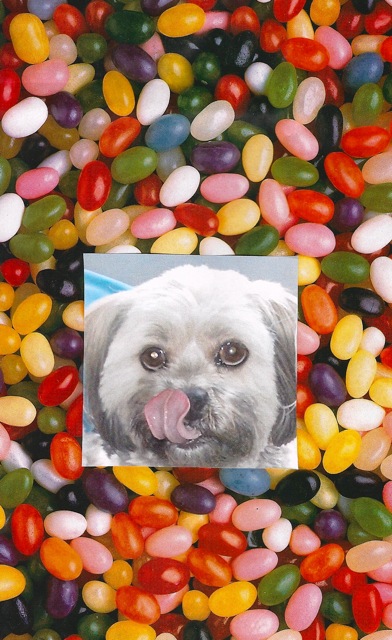 Easter 2010 Jelly Beans