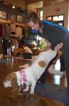 DownDog