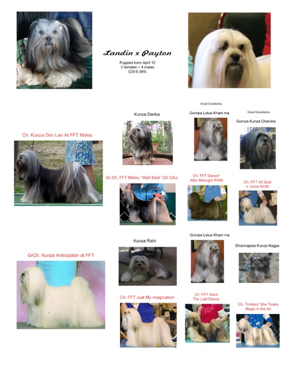 Photo_Pedigree_Final_Edit_April_19